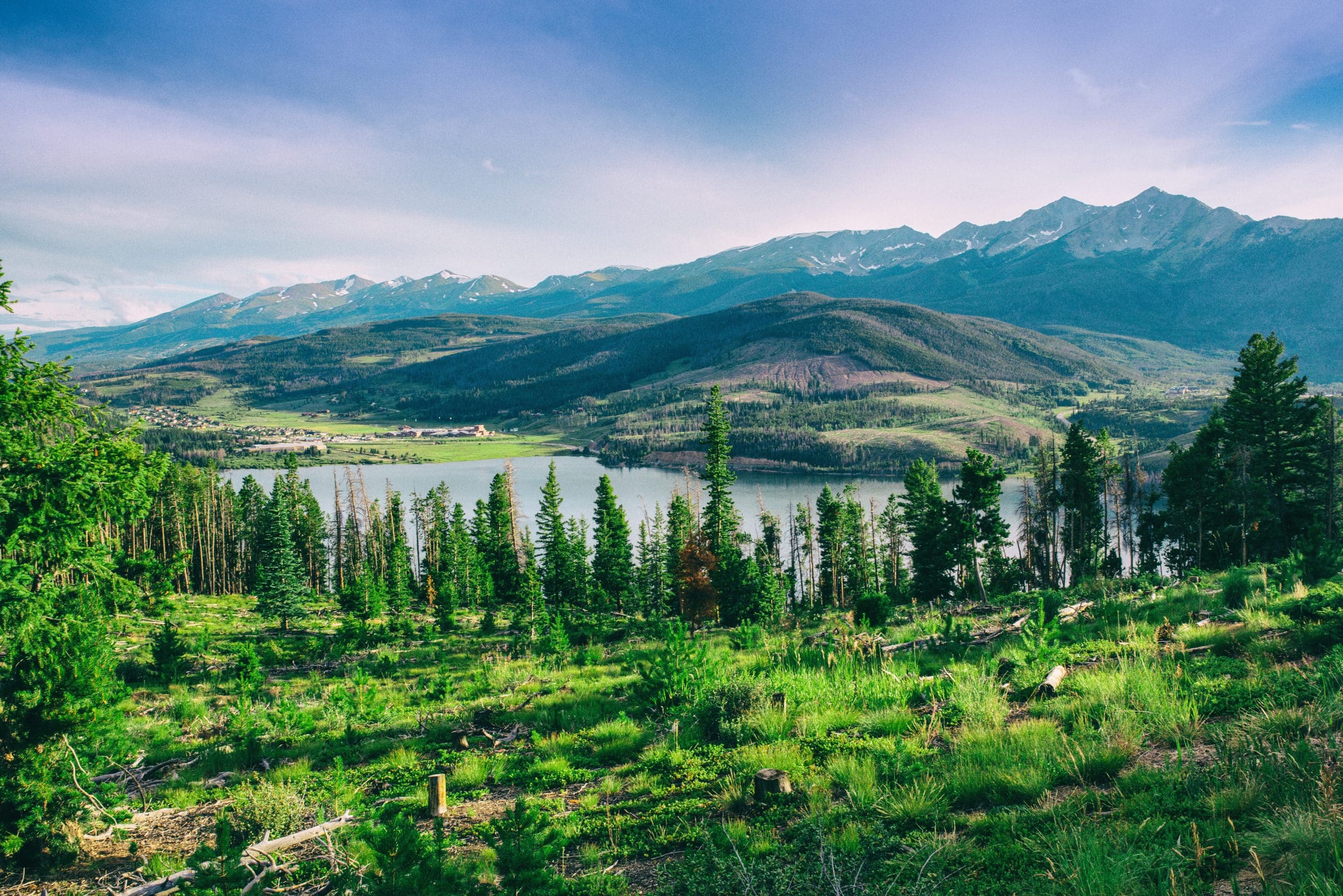 colorado-forest