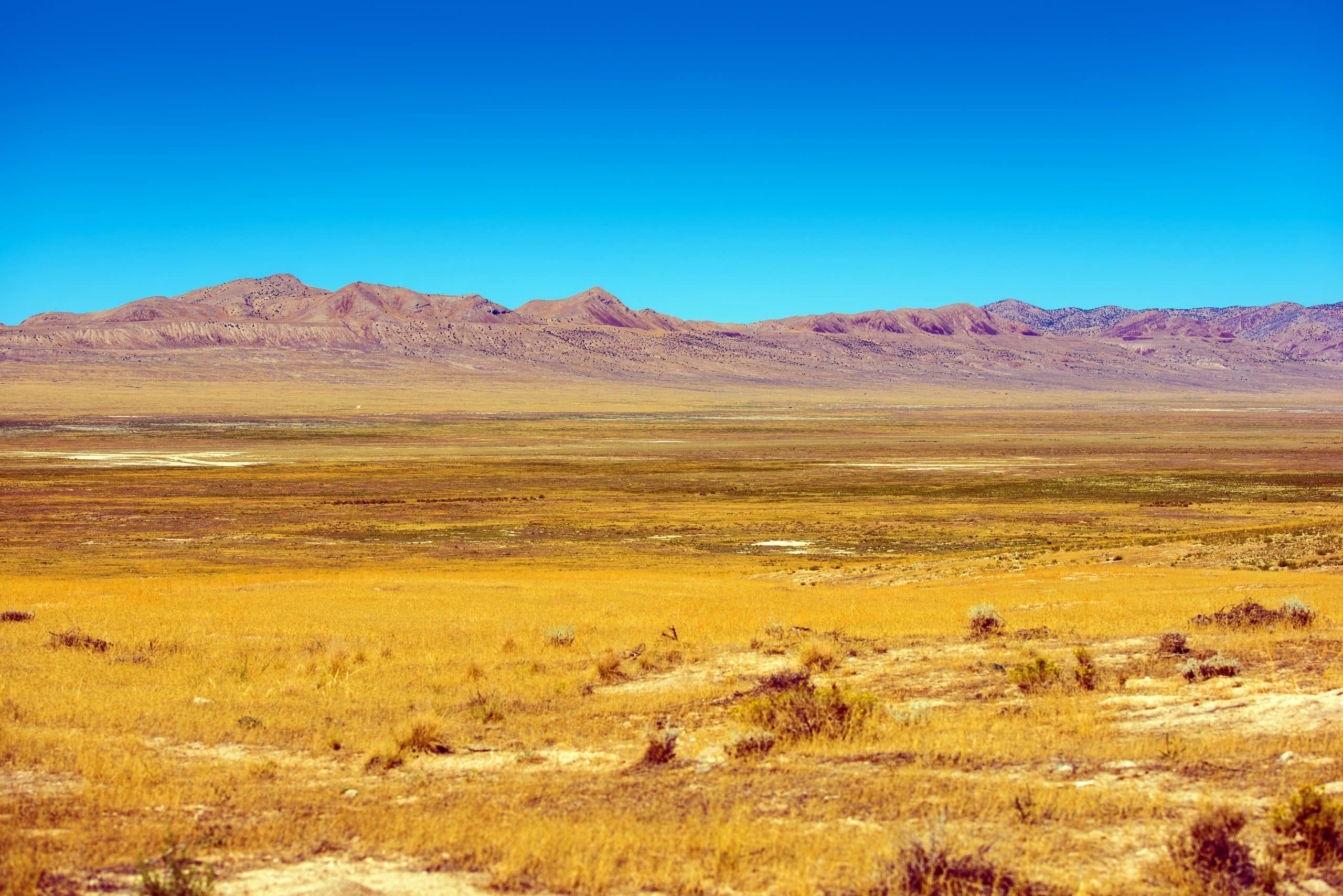 Nevada Landscape