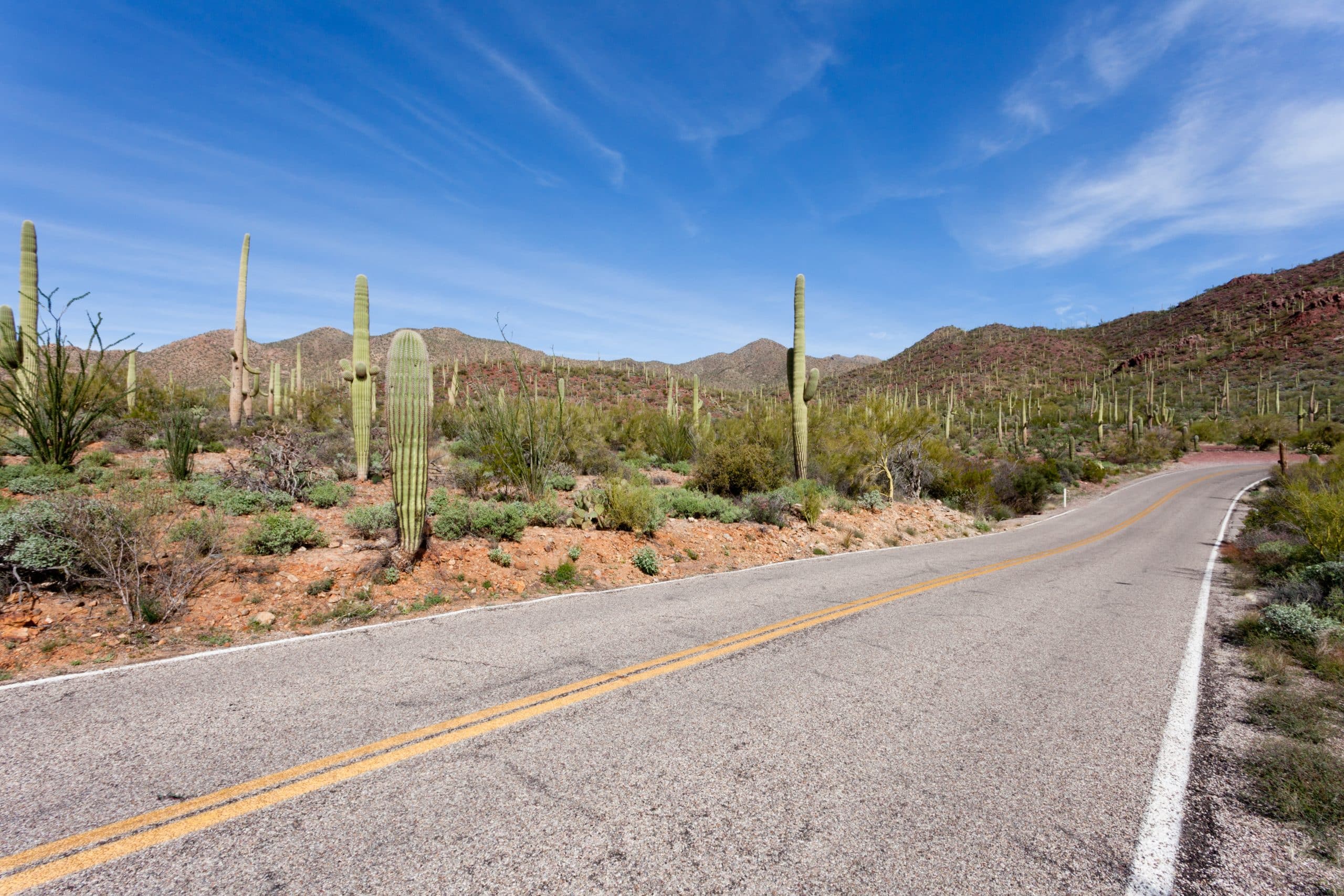 highway road in Saguaro National Park near Tucson, Arizona