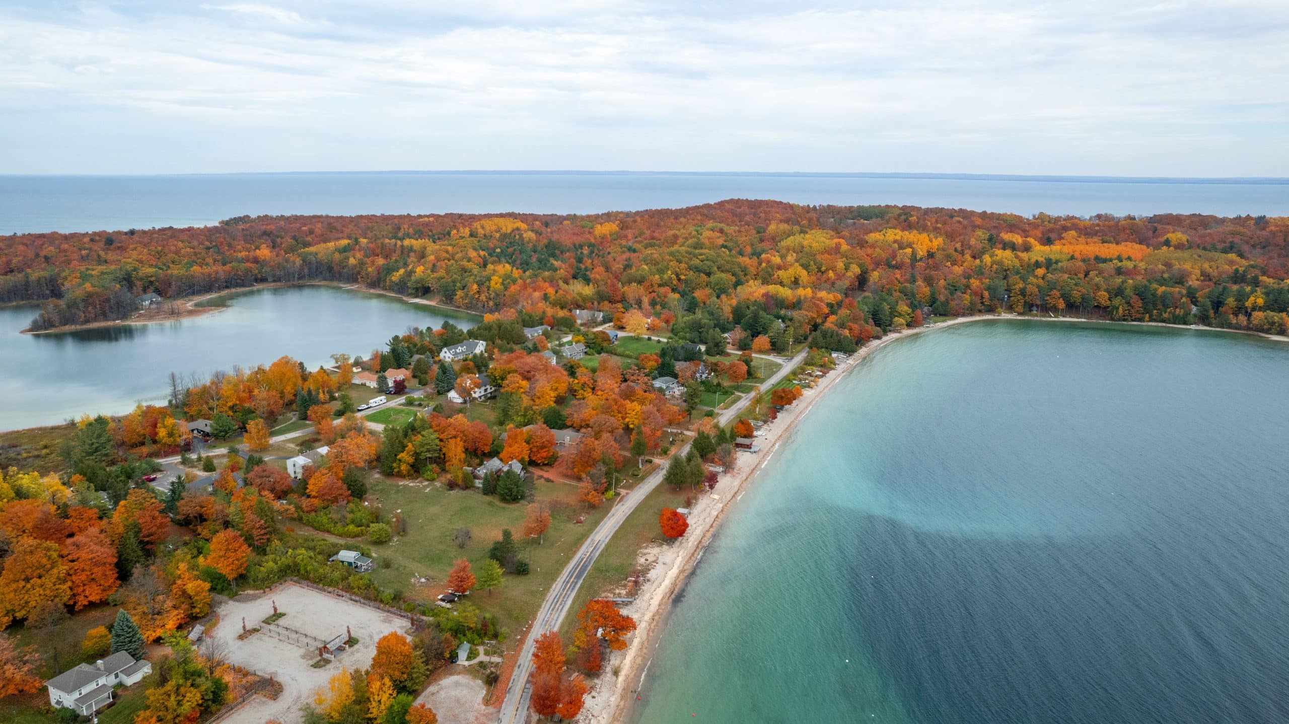trees river Michigan