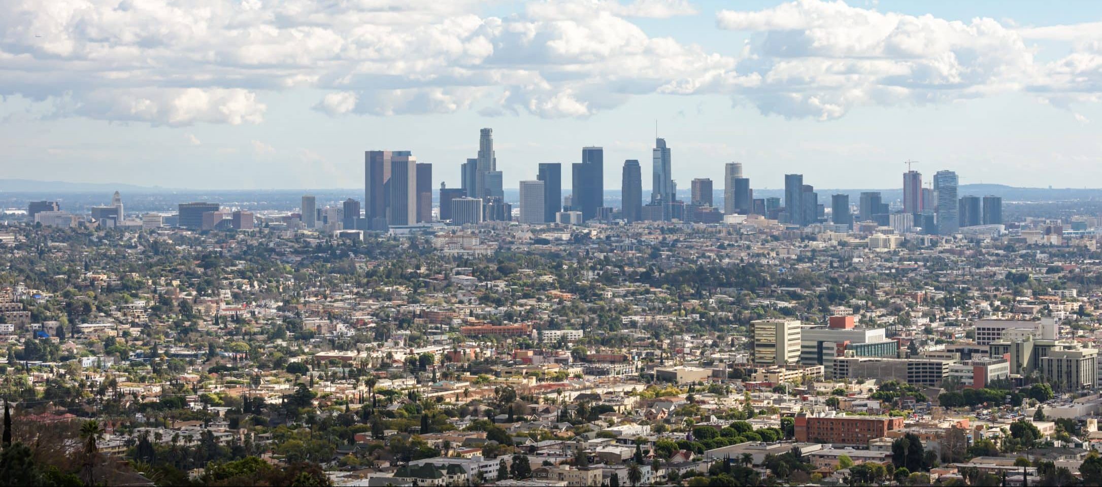 Los Angeles city wide view