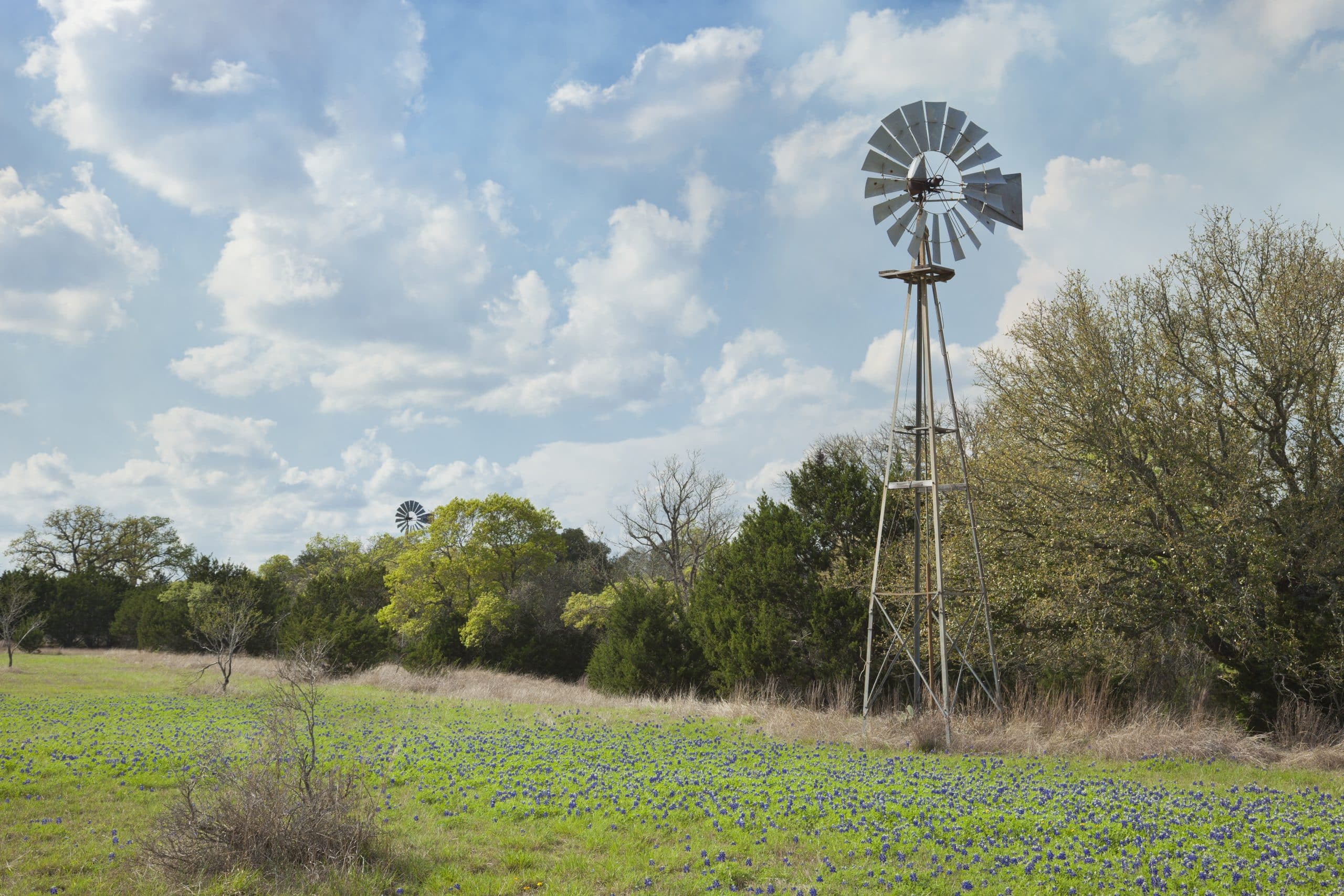 Windmill in Texas