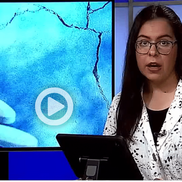 news 12 story Fentanyl NY 2024