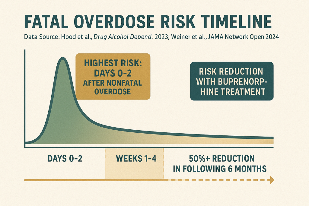 Overdose-Risk-Timeline - first two days are critical- abstract not 100% accurate - for illustrative purposes